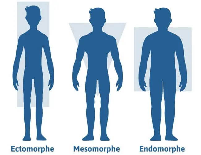 3-types-morphologies