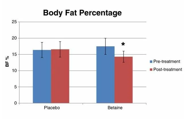 betaine-diminution-masse-grasse
