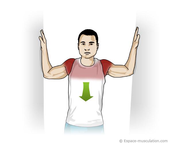 Guide Des tirements Musculaires Class Par Muscle Espace Musculation