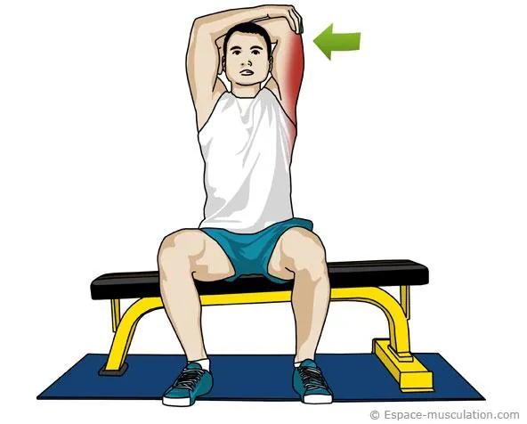Étirement triceps