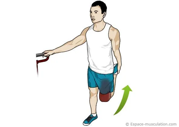 étirement quadriceps