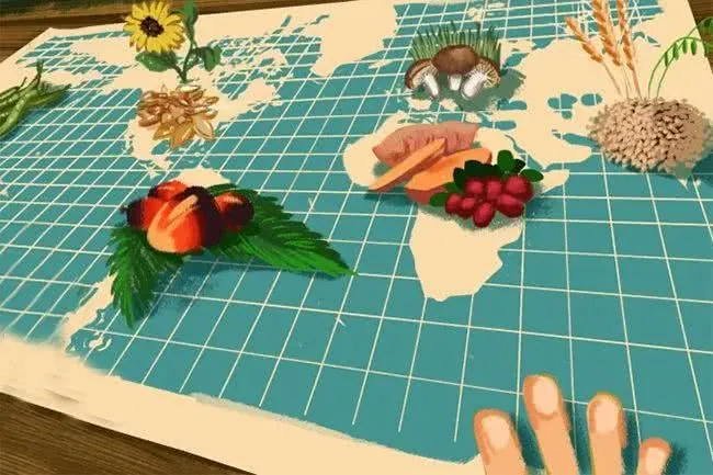 alimentation-paleo