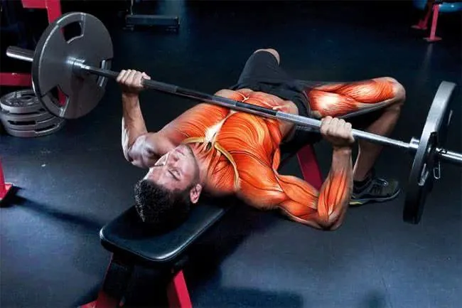 bench-press