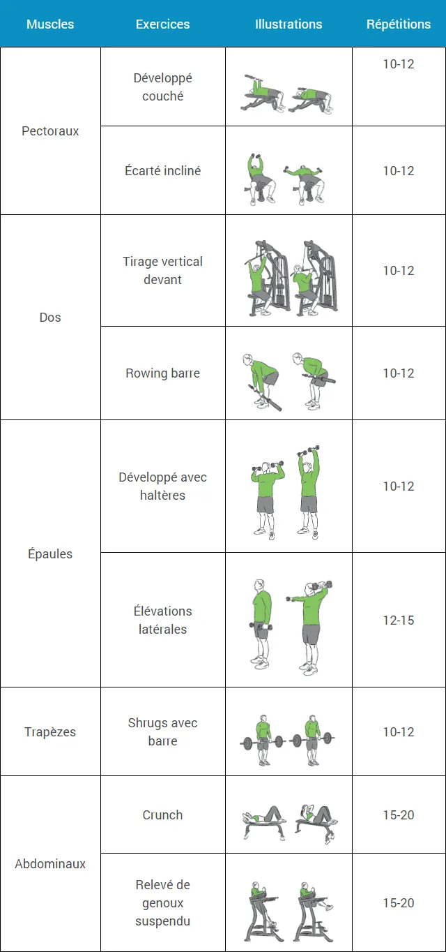 programme-musculation-debutant-semaine-2-lundi-jeudi