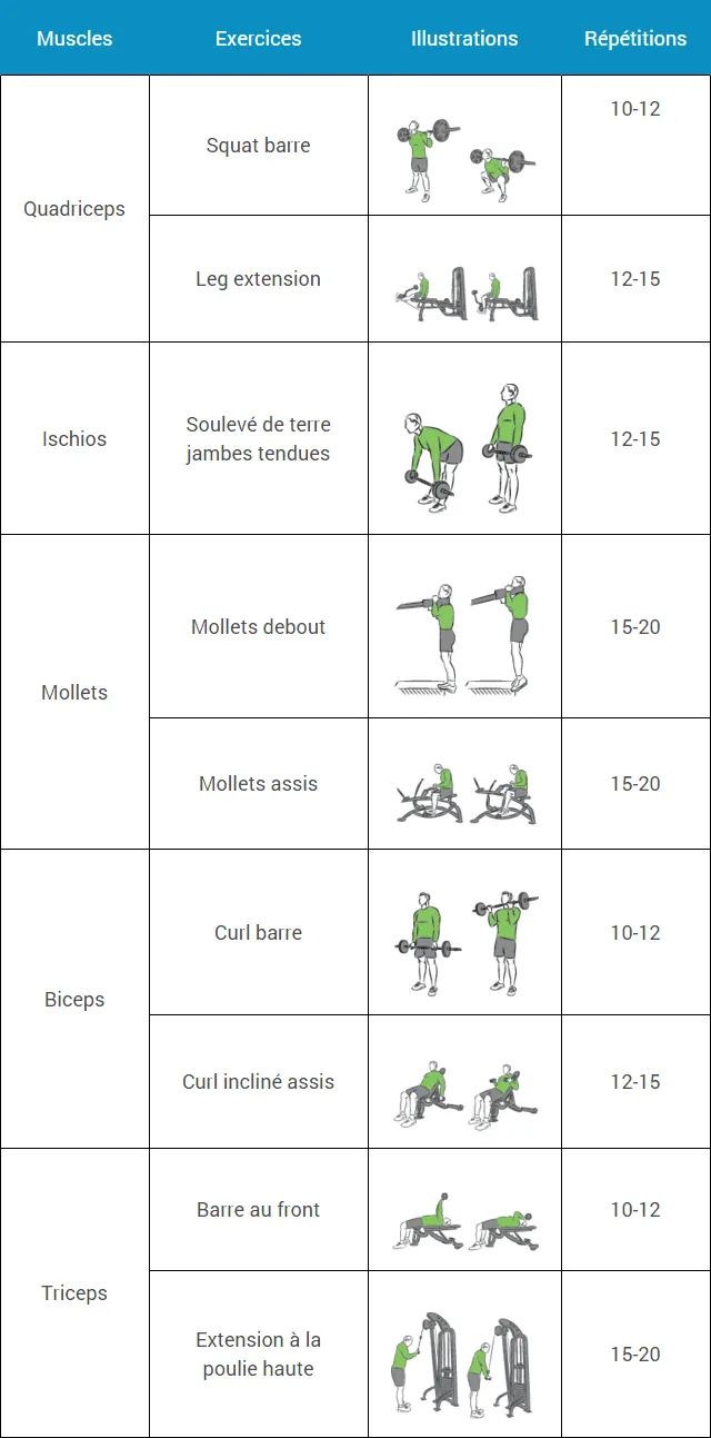 programme-musculation-debutant-semaine-2-mardi-vendredi