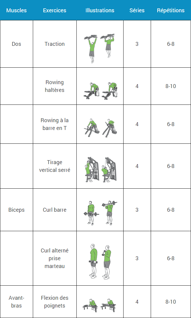 Programme Musculation D butant Espace Musculation
