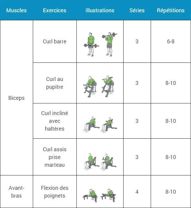 programme-musculation-debutant-semaine-6-vendredi