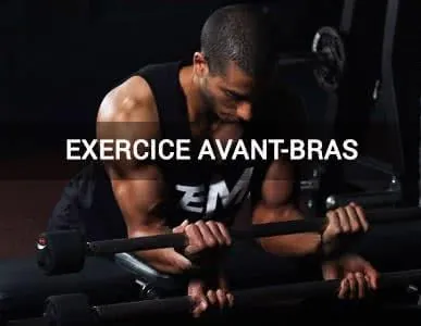 Exercices avant-bras