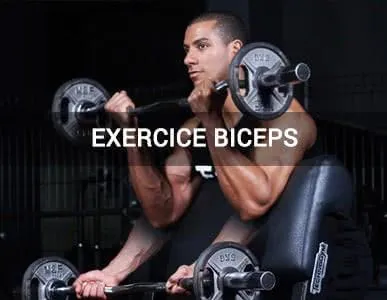 Exercices biceps