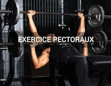 Exercices pectoraux