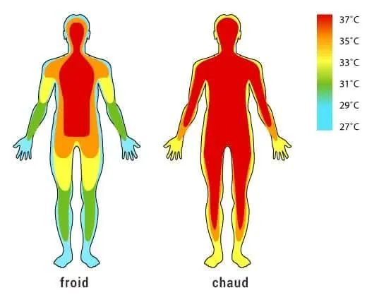 chaud-veine-corps-vascularite