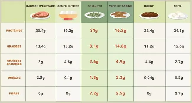 comparaison-nutrition-insectes-animaux