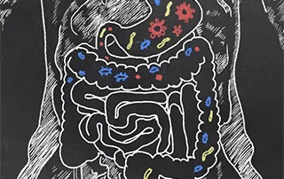 microbiote-intestinal