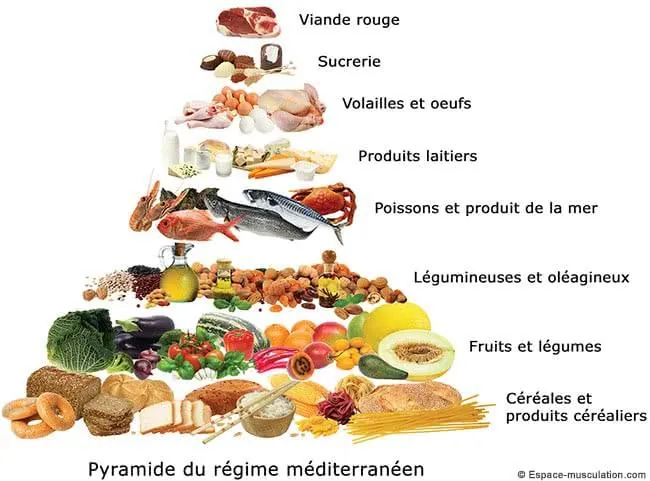 regime-mediteraneen-pyramide