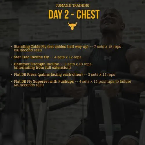 programme-musculation-the-rock-jour2
