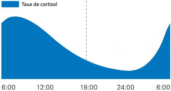 taux-cortisol-journee