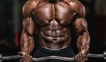 biceps-exercice-musculation