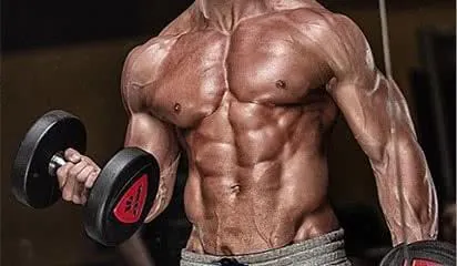 biceps-programme-musculation