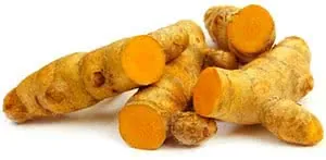 curcuma-rhizomes