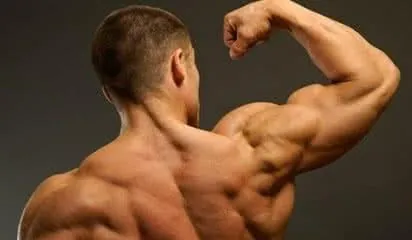 deltoide-exercices-musculation
