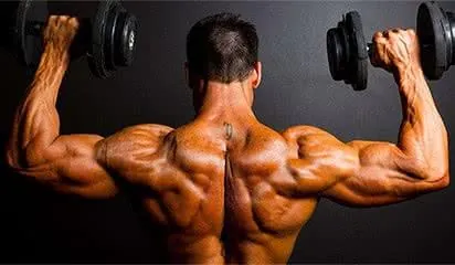 deltoide-programme-musculation