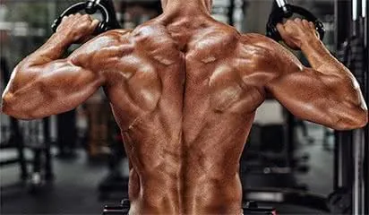 dos-exercice-musculation