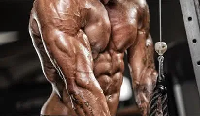 triceps-exercice-musculation