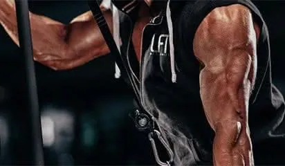 triceps-programme-musculation