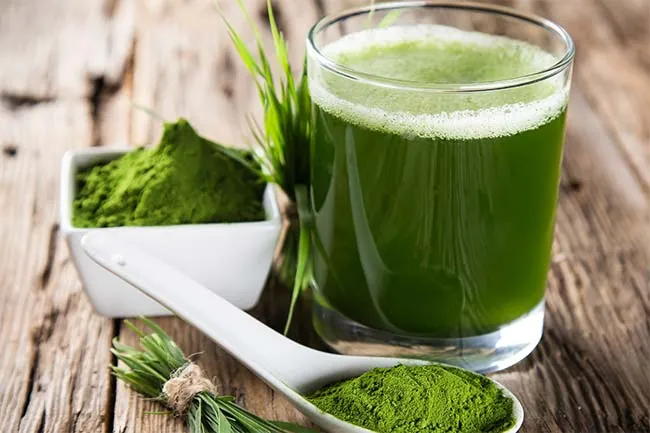 chlorelle-chlorella-chlorophylle-detoxification