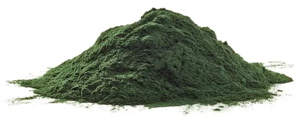 spiruline-poudre-superaliment-riche-nutriments-essentiels