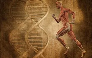 memoire-musculaire
