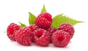 framboise-regime-cetogene