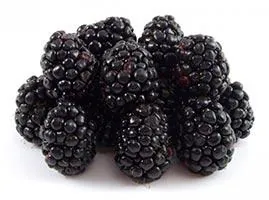 mure-fruit-regime-cetogene