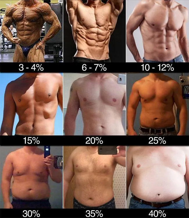 estimation-body-fat-avec-photos
